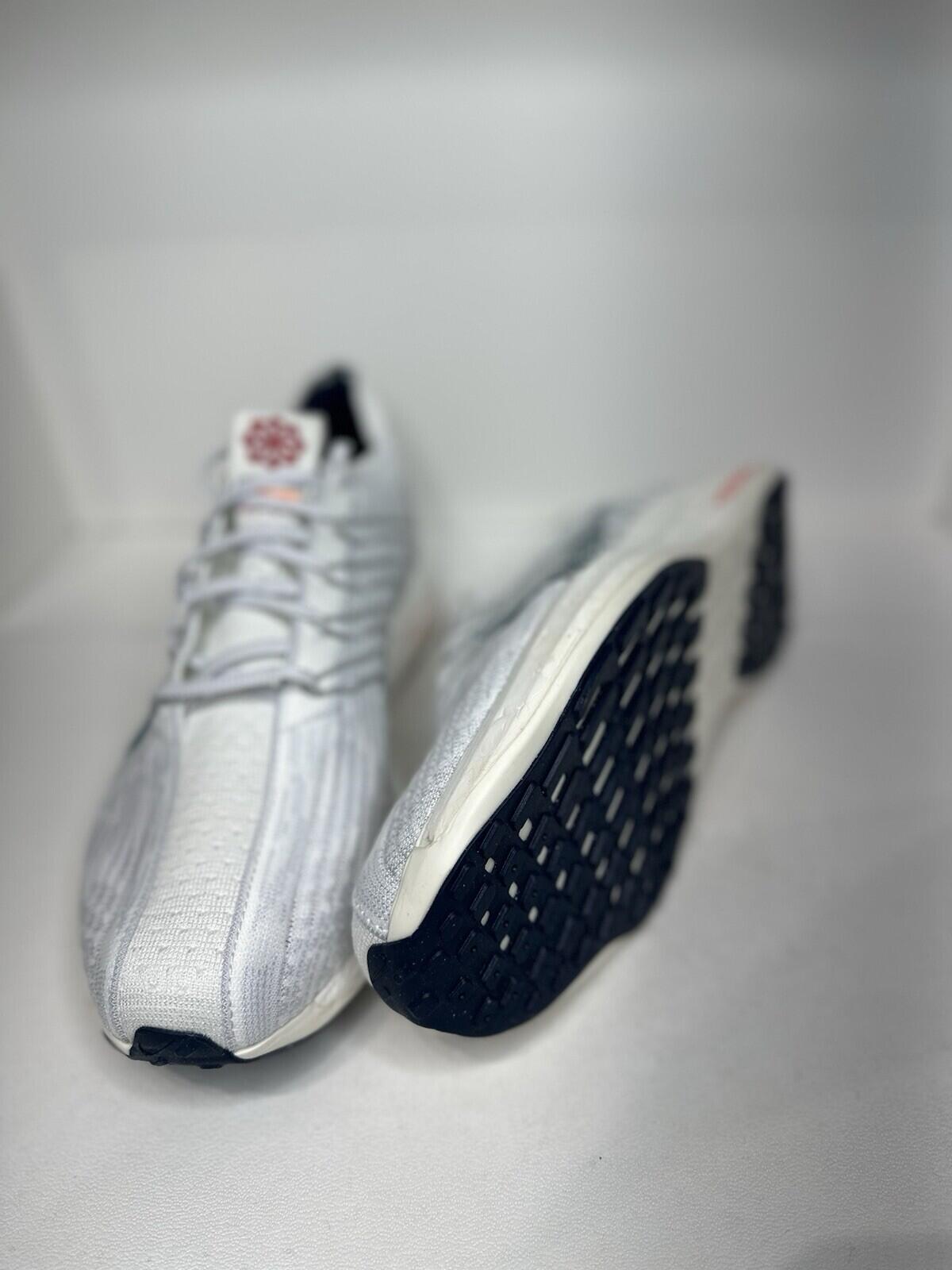 Nike Pegasus Turbo Next Nature Platinum/bright Spruce Men’s Shoe  Size 13